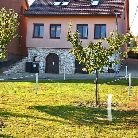 Apartman Nesyt Sedlec  Buitenkant foto
