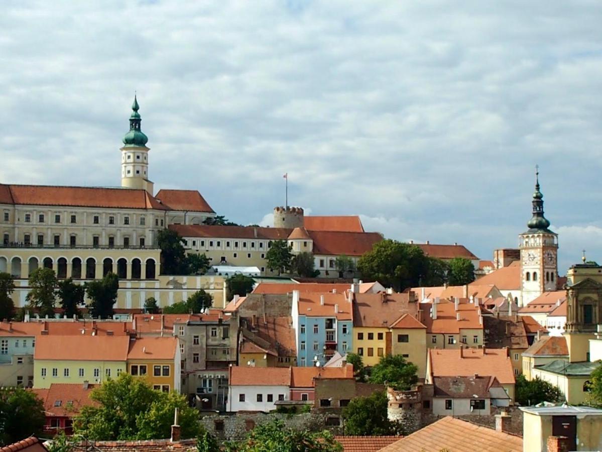 Apartman Nesyt Sedlec  Buitenkant foto