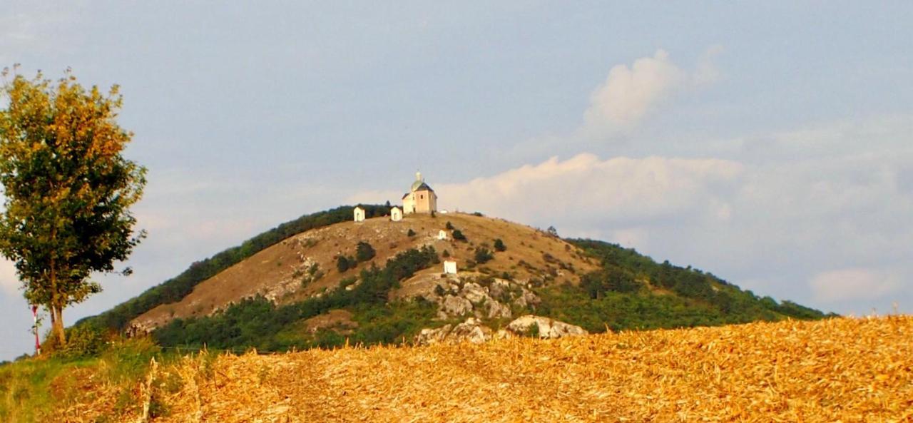 Apartman Nesyt Sedlec  Buitenkant foto